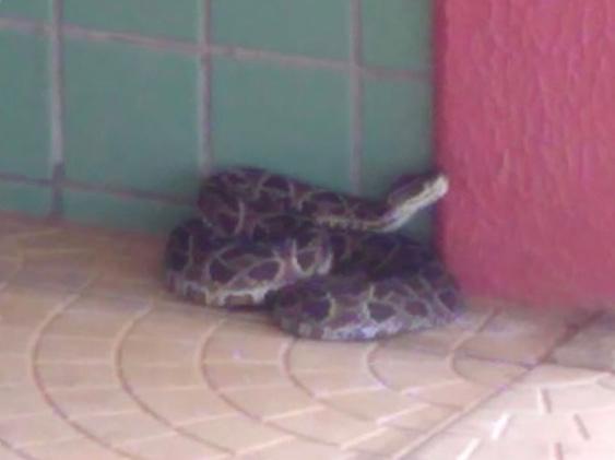 imagens_15505948090980