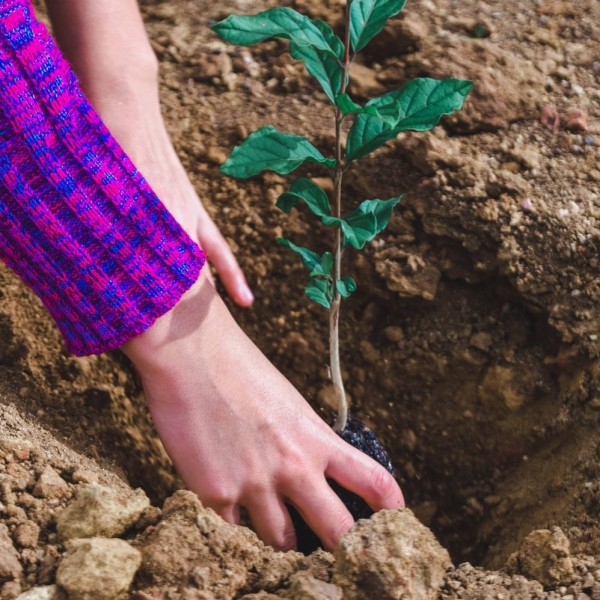 64623109_556063424797658_4208253817554206720_o