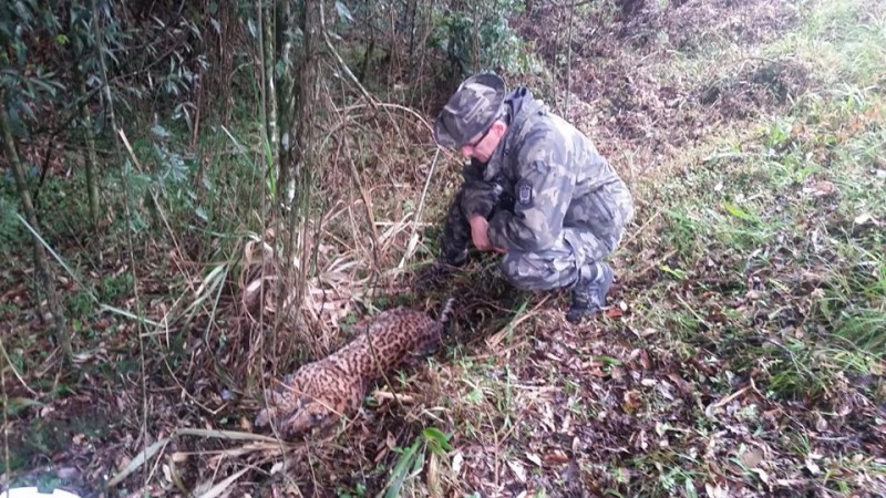 67358840_1083981985145713_7848960189779673088_n