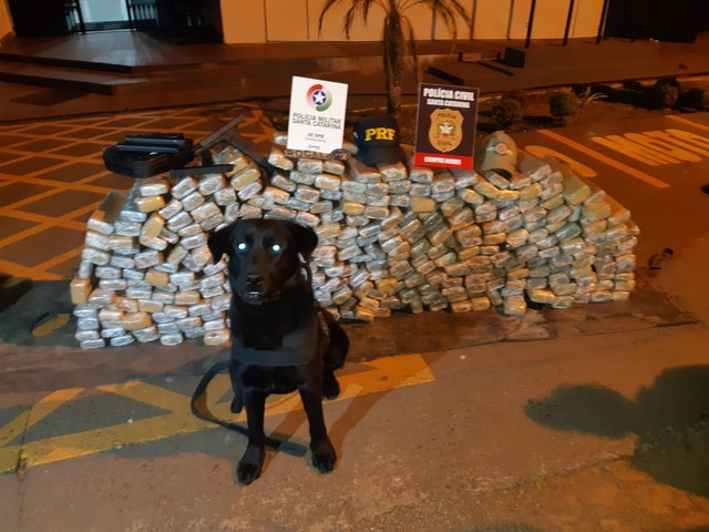 apreende-pacotes-de-maconha