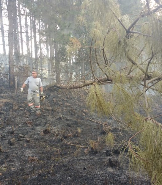 Queimadas Joaçaba 2